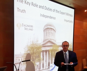 the-key-role-and-duties-of-the-expert-witness